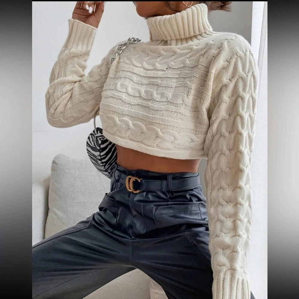 Cropped Sweater - Picture 1 of 2